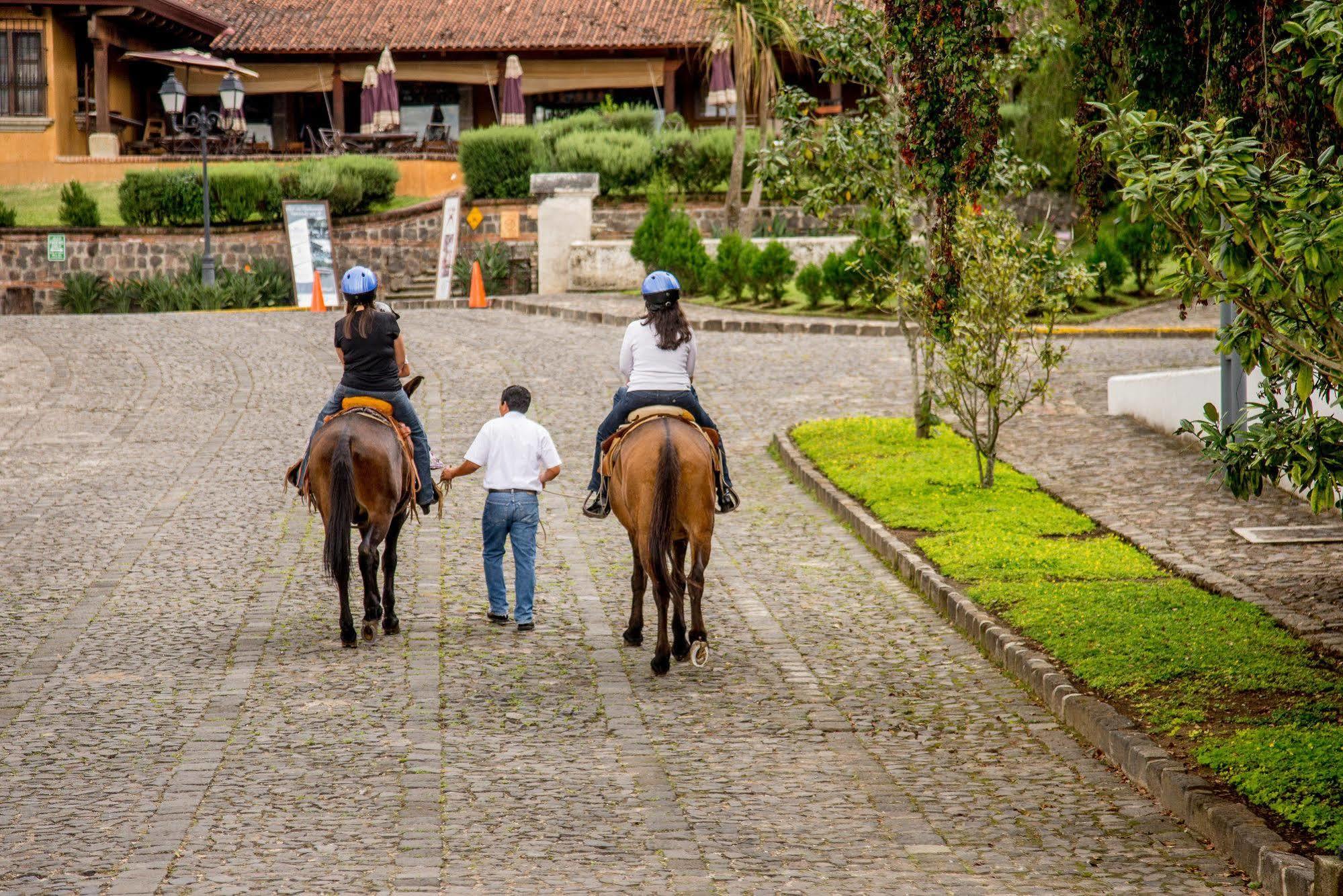 Filadelfia Coffee Resort & Tour Jocotenango Exterior photo