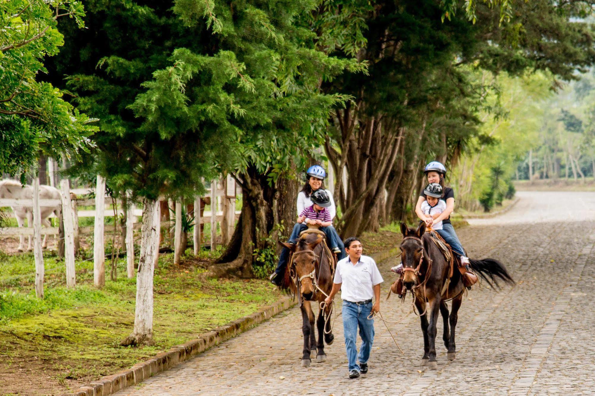 Filadelfia Coffee Resort & Tour Jocotenango Exterior photo